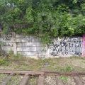 210529_Pantograff15_05