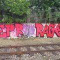 210529_Pantograff15_06