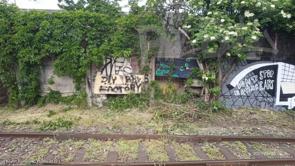 210529_Pantograff15_07