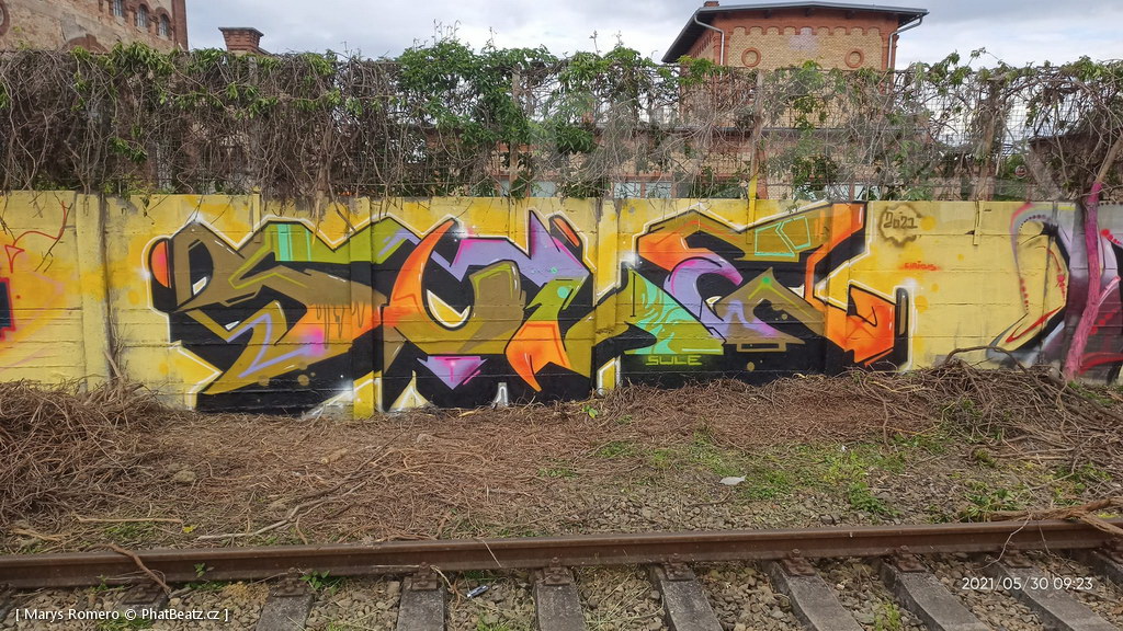 210529_Pantograff15_24