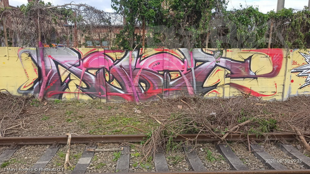 210529_Pantograff15_25