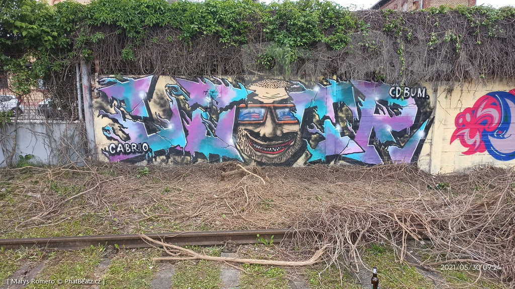 210529_Pantograff15_27