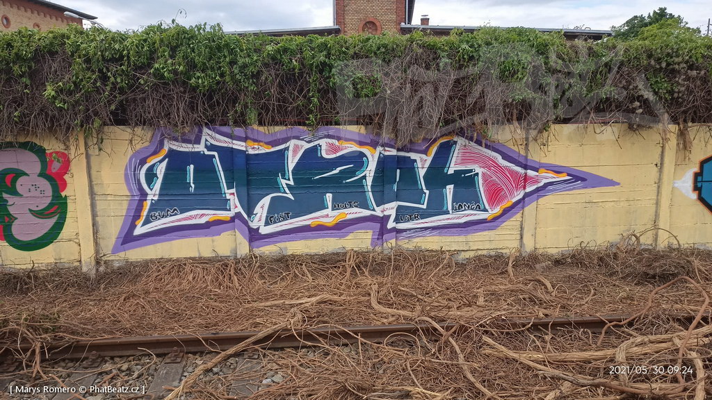 210529_Pantograff15_29
