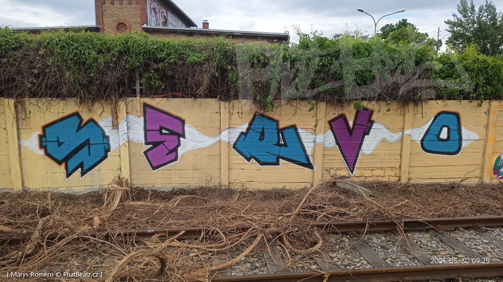 210529_Pantograff15_30
