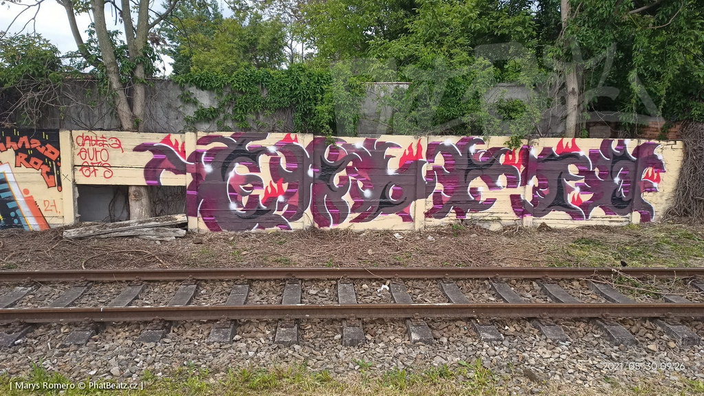 210529_Pantograff15_37