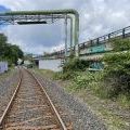 210703_Rochlitz_01