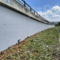 210703_Rochlitz_02