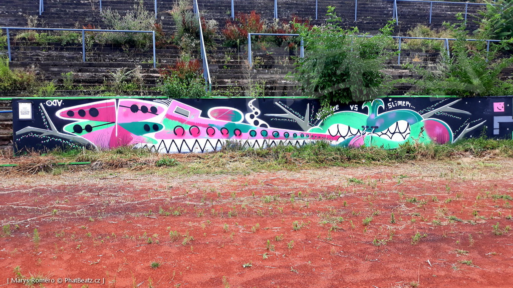 210801_ZaLuzankami_13