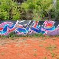 210801_ZaLuzankami_27