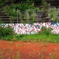 210801_ZaLuzankami_31
