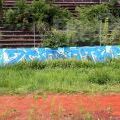 210801_ZaLuzankami_33