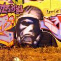 21orionkagraff