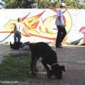 22taborgraffjam
