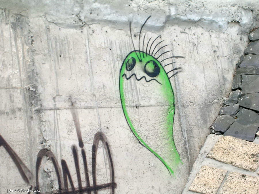 37_Tenerife