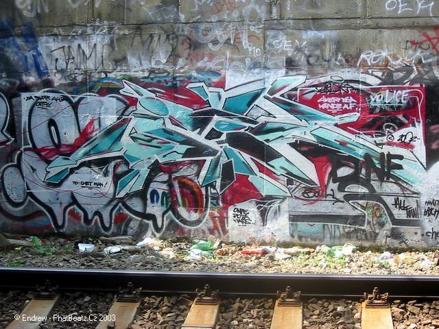 41palmovka052003