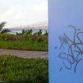 48_Tenerife