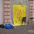 48pertogallchomutov