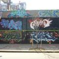 5Pointz100