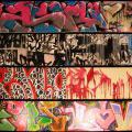 61graffmonaco