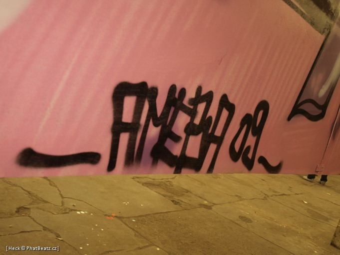 AmebaProject_09