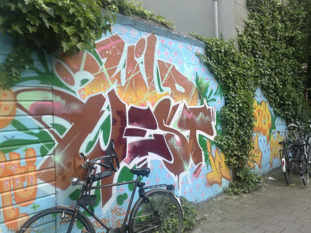 AmstrHaargraff_05