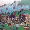 AmstrHaargraff_06