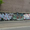 AmstrHaargraff_17