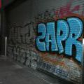 AmstrHaargraff_37