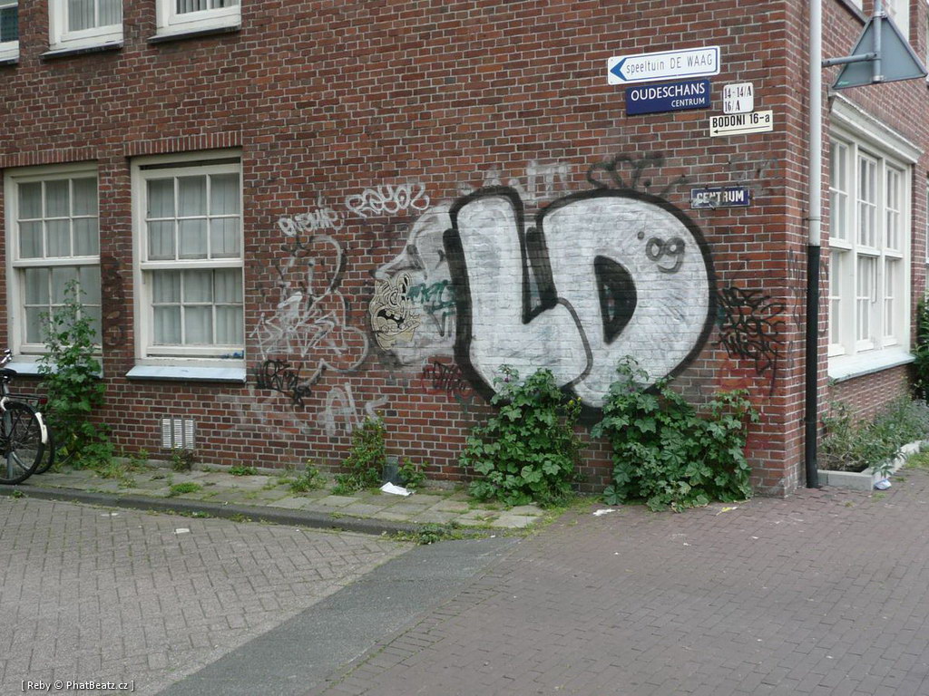 AmstrHaargraff_43