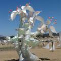 BoomFest06_034