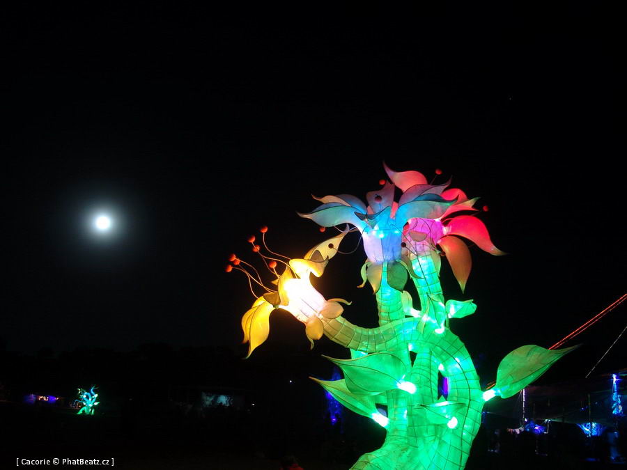 BoomFest06_177