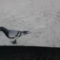 Brighton_07