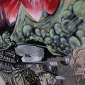 Bristol_33