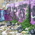 Brno-Krenka_42