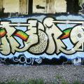 Brno-RenOs_10