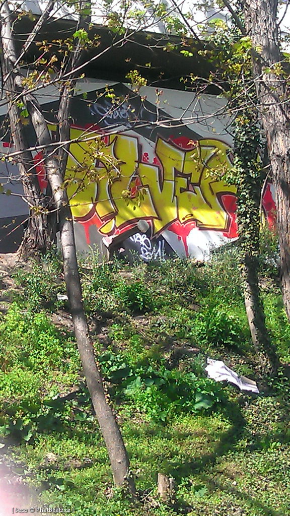 Chotkova_21