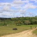Dominicana2011_103