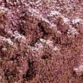 EtCetera_0032