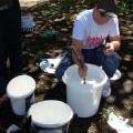 GafficonIronlakJam1_27