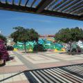 GranCanaria_12