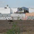GranCanaria_78
