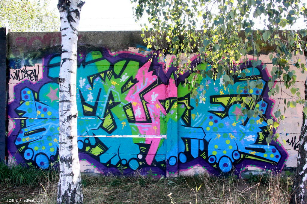 HHK2011_graff_032