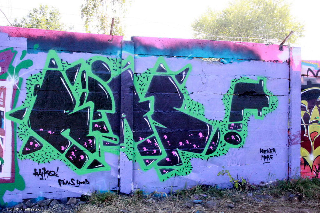 HHK2011_graff_055