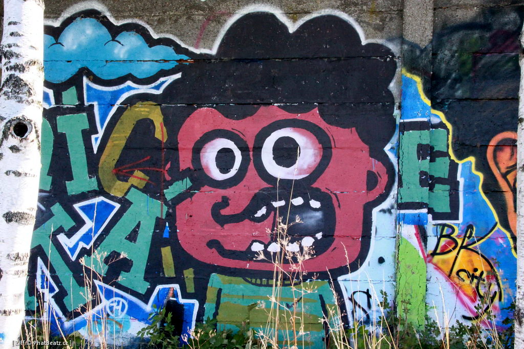 HHK2011_graff_086