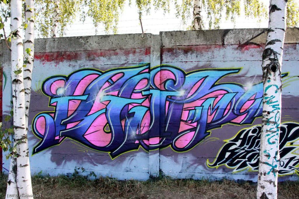 HHK2011_graff_096