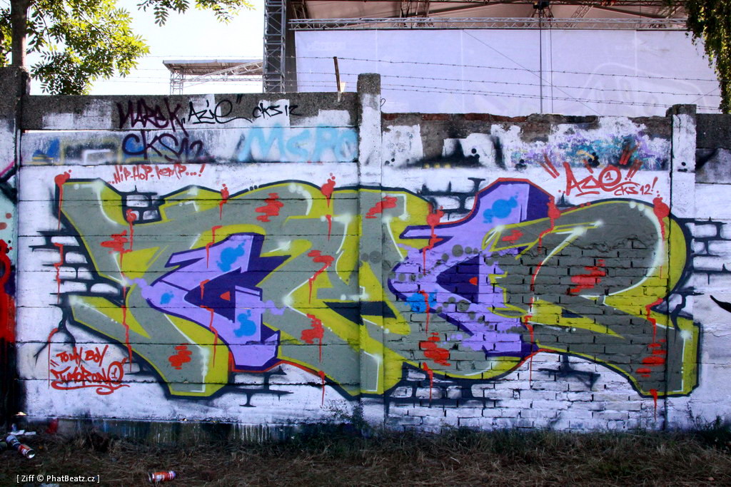 HHK2011_graff_110