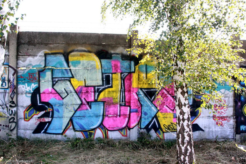 HHK2011_graff_120