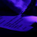 HocusPocus_0019