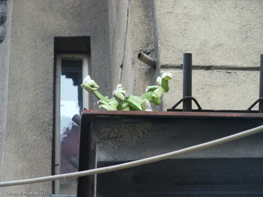 HolesoviceStreet_68