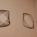 IMG_SRC_38